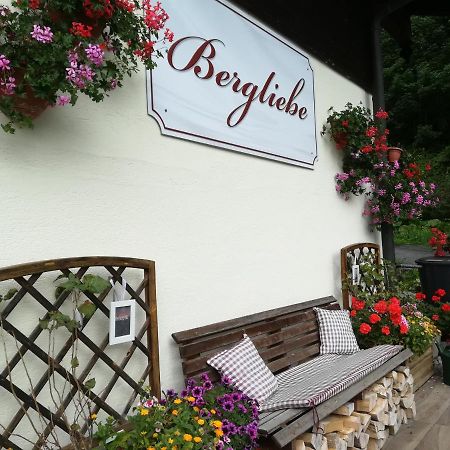 Haus Bergliebe Hotel Filzmoos Luaran gambar