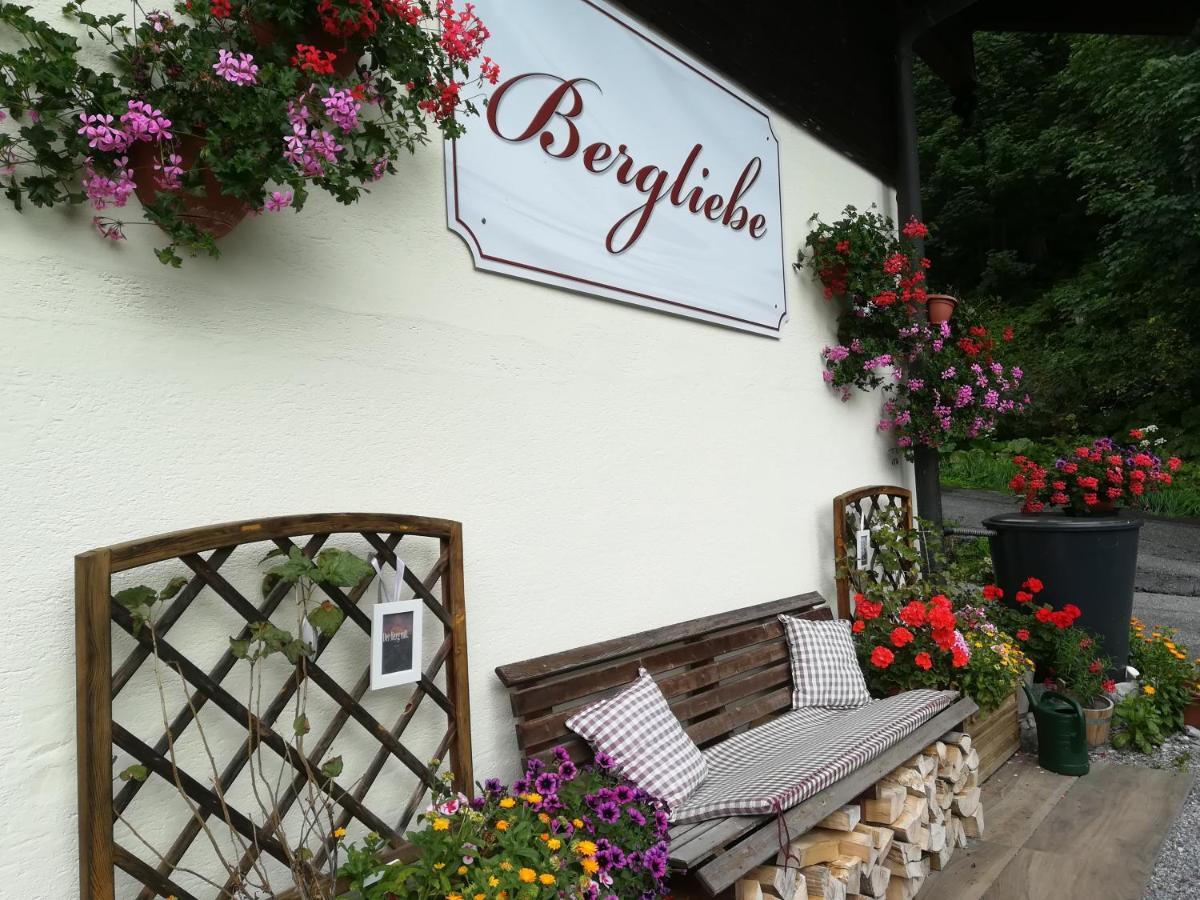 Haus Bergliebe Hotel Filzmoos Luaran gambar